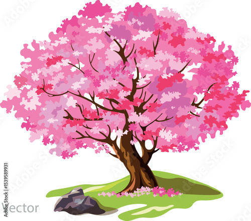 cherry blossom tree