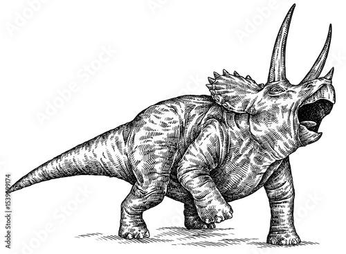 Vintage engraving isolated Triceratops set illustration reptile ink sketch. Dinosaur background silhouette Jurassic art. Black and white hand drawn image