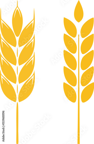 wheat ears vector