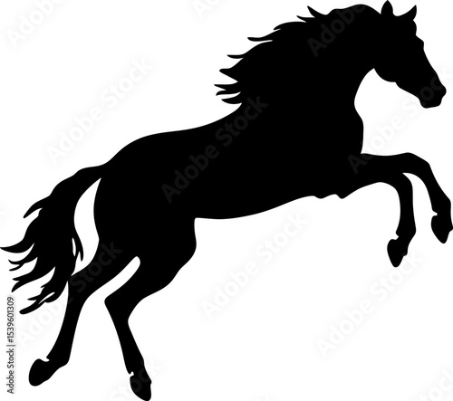 Handdrawn horse silhouette