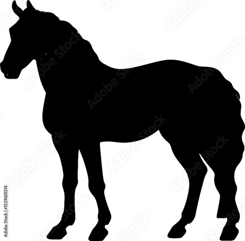 Handdrawn horse silhouette