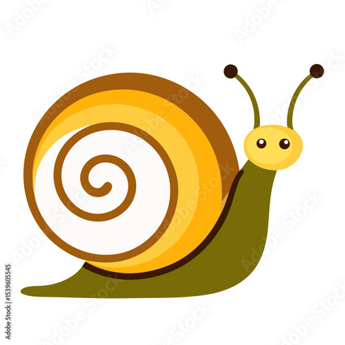 snail on a white background