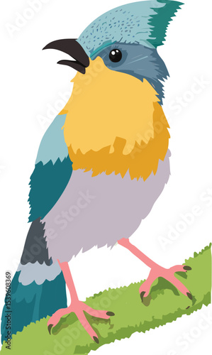 Bird