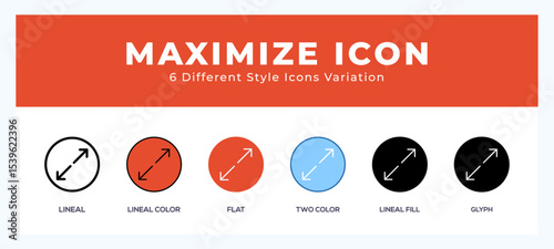 Maximize set of icons. Vector illustration with different styles.