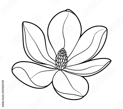 Simple black and white outline illustration of a magnolia flower in full bloom isolated on white