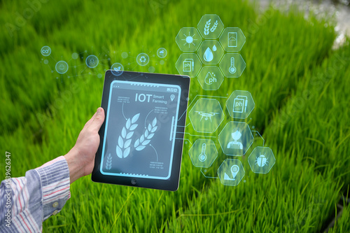 A person uses a tablet with IoT smart farming technology to monitor crop health and environmental conditions in a green agricultural field.