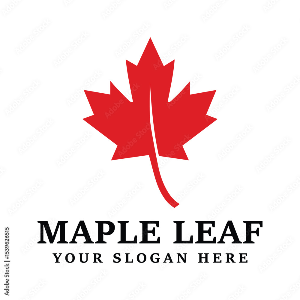 Obraz premium Maple leaf logo template vector icon illustration maple leaf vector illustration can