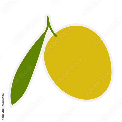 Hand drawn green branch olive template for olive oil products, packaging, food and drink concept.