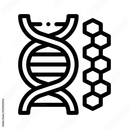 DNA strand line icon