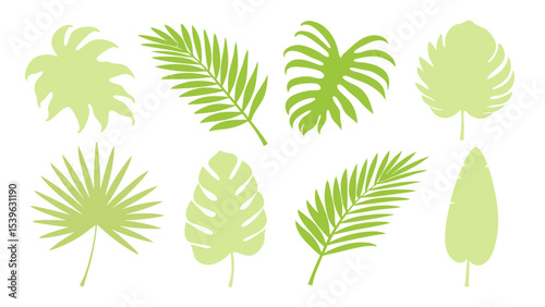 Set of colourful tropical palm leaves vector