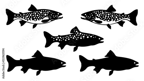 Set of modern illustration of fish