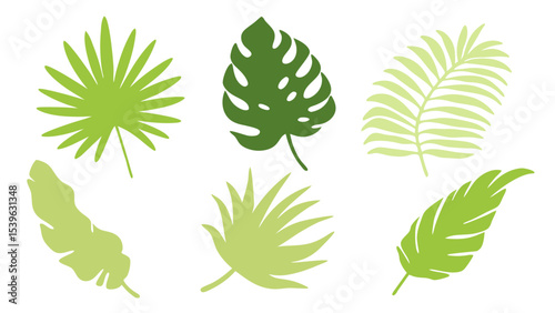 Set of colourful tropical palm leaves vector