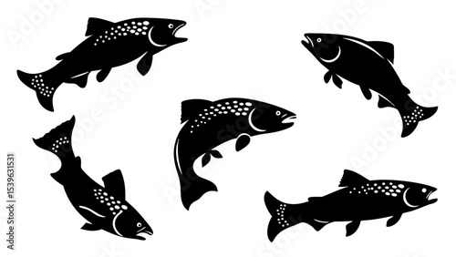 Set of modern illustration of fish