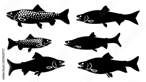 Set of modern illustration of fish