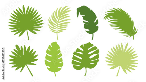 Set of colourful tropical palm leaves vector