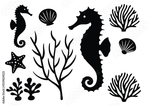 Black and white marine life silhouettes including seahorses seaweed starfish and shells