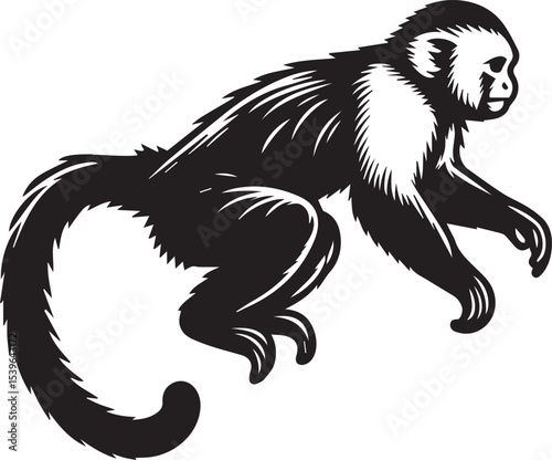 Capuchin Monkey Simple Black and White Vector Illustration	