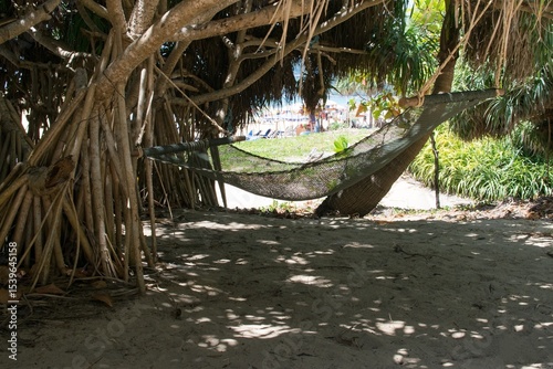 An empty hammock is hanging between pandanuses in the shade on a sandy beach 