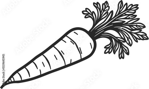 minimalist black outline of a carrot with feathery greens, isolated on white background.
