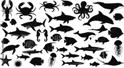 Collection of fish silhouette. Collection of fish vector silhouette. EPS 10 version.	