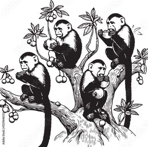 Capuchin Monkey Simple Black and White Vector Illustration	