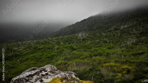 Rocky outcrop with moss in a foggy mountain scene features rock textures, lichen, and muted color palette for atmospheric mood.