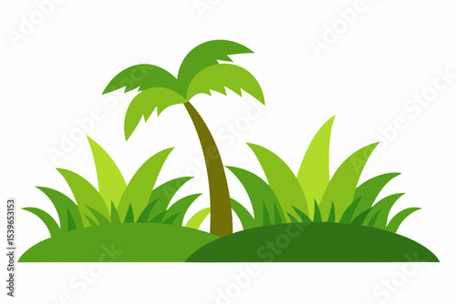 palm tree vector illustration