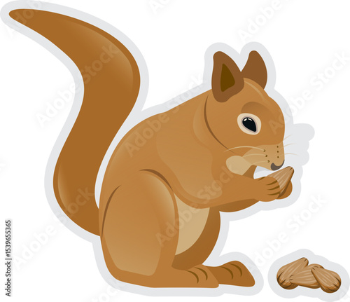 Illustration of a Squirrel Eating Almond Nuts