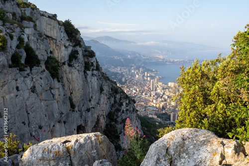 Vue spectaculaire sur la Principauté de Monaco depuis la Tête de Chien, entre rochers et végétation méditerranéenne