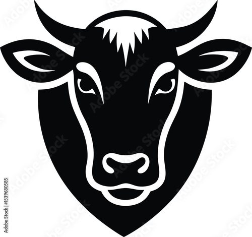 black and white cow