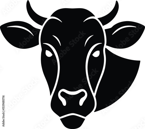 black and white cow