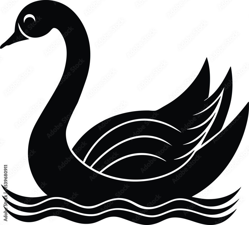 Obraz premium black and white swan