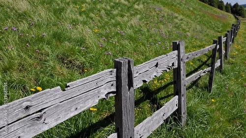 Wooden Fence Along Green Meadow with Distant Hills and Colorful Wildflowers Under Blue Sky