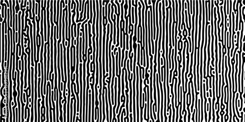 Abstract Turing organic wallpaper background. Linear design with biological shapes. Organic lines in Memphis. 260Turing reaction diffusion monochrome seamless pattern with chaotic motion.