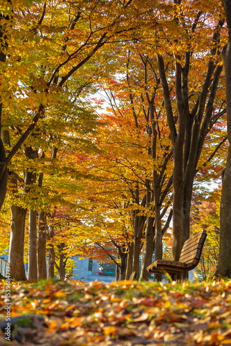 The beauty of autumn leaves in Hirosaki Park (Hirosaki Castle), the only castle in the Tohoku region built in the Edo period, is one of the three most beautiful in Japan, located in the Tohoku region photo
