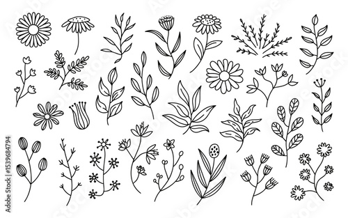 A black and white line art illustration of various botanical elements arranged in a scattered pattern across the image. The design features multiple flowers, including daisies with radiating petals, 