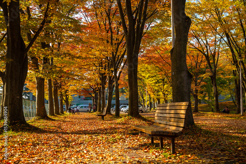 The beauty of autumn leaves in Hirosaki Park (Hirosaki Castle), the only castle in the Tohoku region built in the Edo period, is one of the three most beautiful in Japan, located in the Tohoku region photo