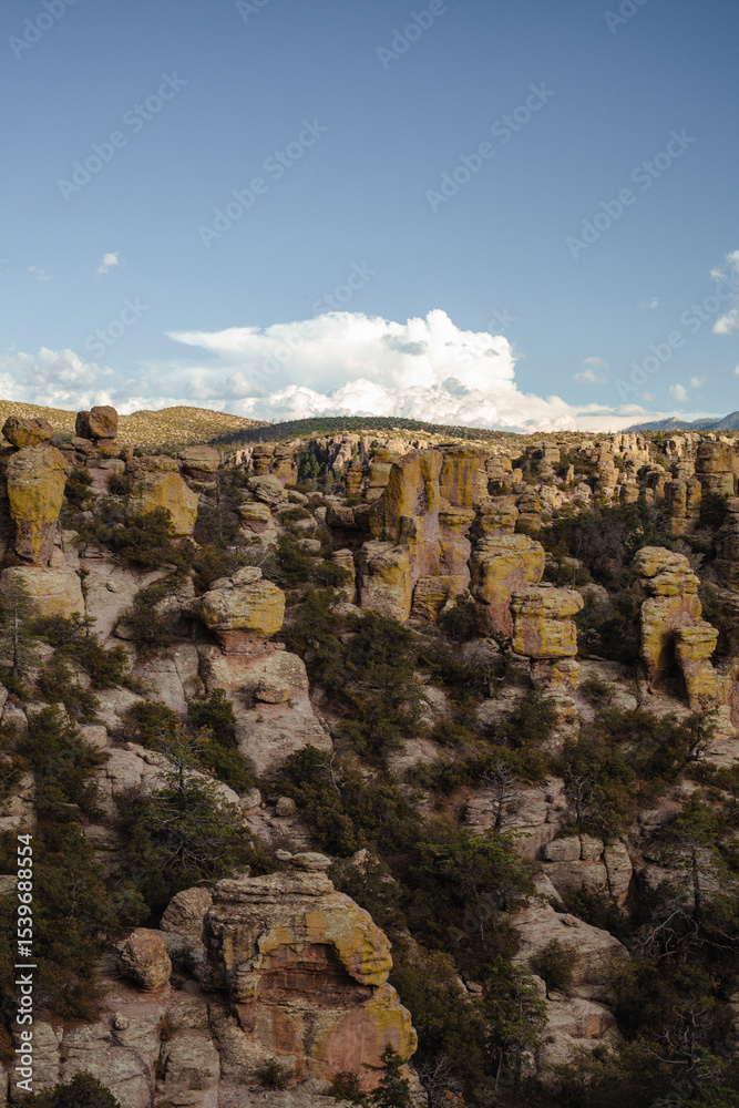 Fototapeta premium Rock formations at Chiricahua National Monument vertical