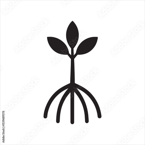 Mangrove tree sapling with aerial roots illustration