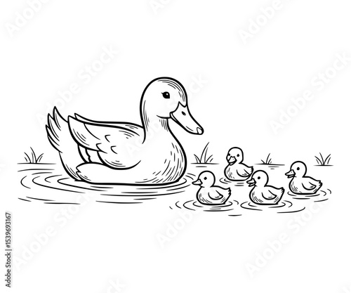 A duck teaching chicks how to swim