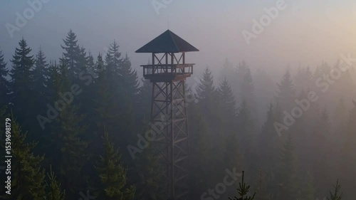 Misty Forest Scene with Observation Tower Surrounded by Tall Evergreen Trees at Dawn in Nature's Tranquility