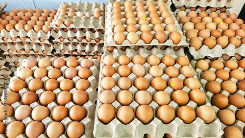 Fresh Eggs on Display: A close-up shot of multiple egg cartons filled with fresh, brown eggs, arranged in a neat and orderly manner, ready to be sold or used.