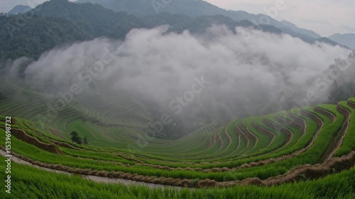 Lush Green Rice Terrace Fields Nestled in the Mountains Under a Dramatic Cloudy Sky
