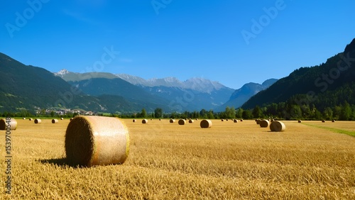 Baling hay in a picturesque valley switzerland nature photography sunny day wide angle view agricultural serenity