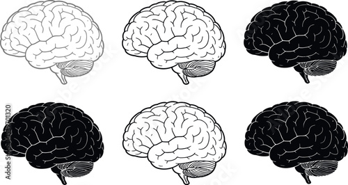 Six brain drawings in varying shades of gray and black on a white background in a two row arrangement
