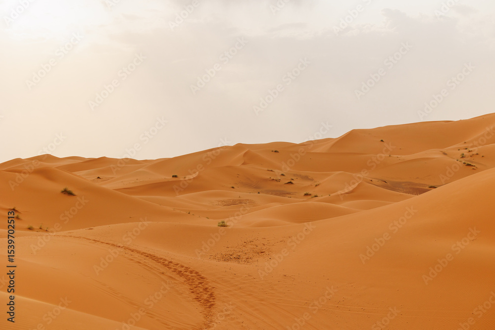 Panoramic landscape views of Erg Chebbi sand dunes located in Morocco on the western edge of the Sahara Desert Panoramic landscape views of Erg Chebbi sand dunes located in Morocco on the western edge of the Sahara Desert
