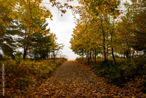 Fototapeta Naklejka Na Ścianę i Meble -  Colourful autumn morning on the shore of the Baltic Sea	
