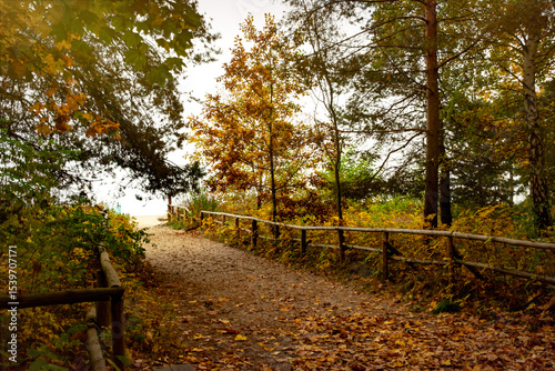 Fototapeta Naklejka Na Ścianę i Meble -  Colourful autumn morning on the shore of the Baltic Sea	