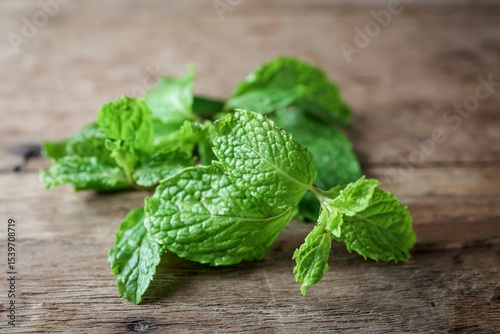 peppermint,spearmint leaves,mint leaves on wooden background