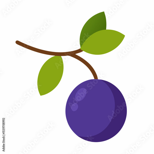 blueberries on branch with leaves